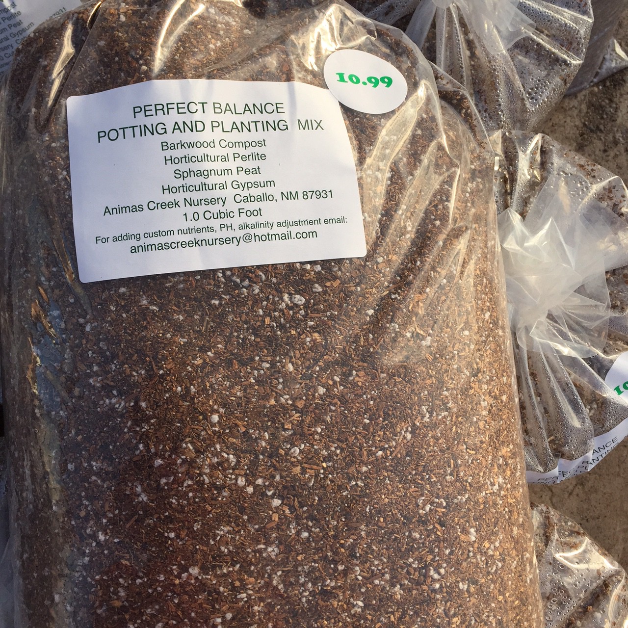 Weekly Specials Newman's Nursery