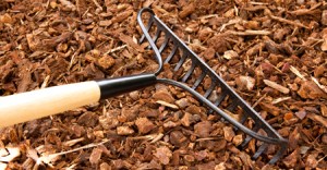 mulch